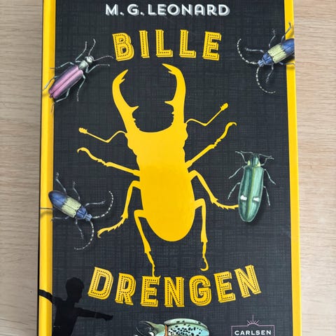 Annoncebillede