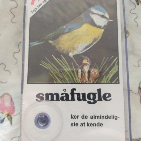 Annoncebillede