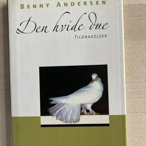 Annoncebillede