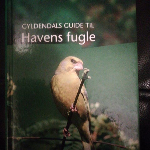Annoncebillede