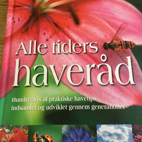 Annoncebillede