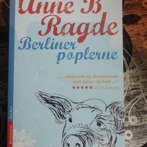 Annoncebillede