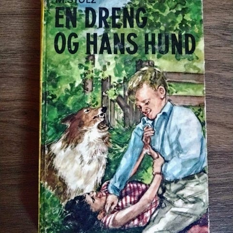 Annoncebillede