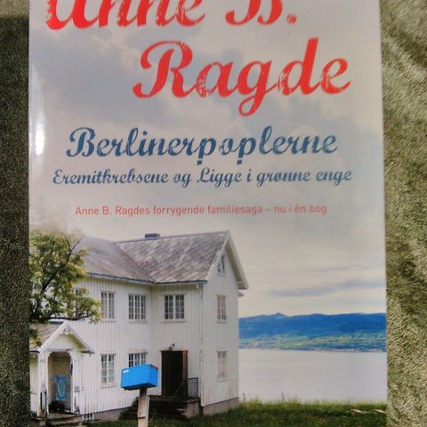 Annoncebillede