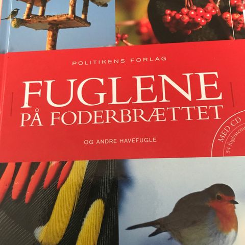 Annoncebillede