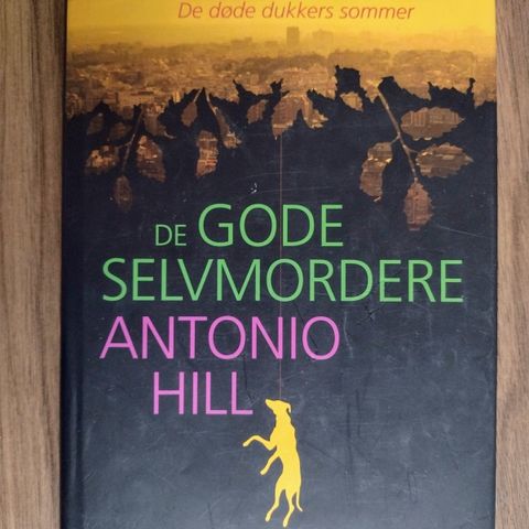 Annoncebillede