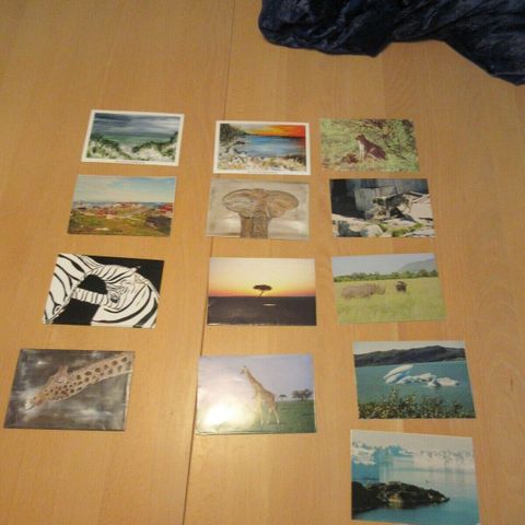 Annoncebillede