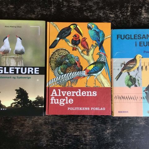 Annoncebillede
