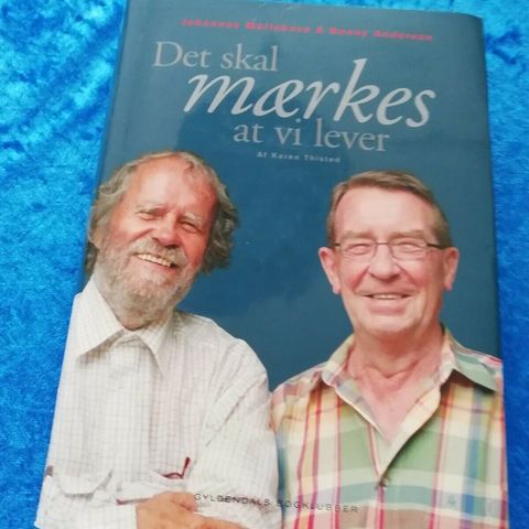 Annoncebillede