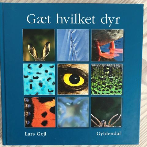 Annoncebillede