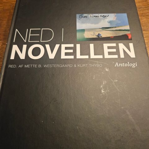 Annoncebillede