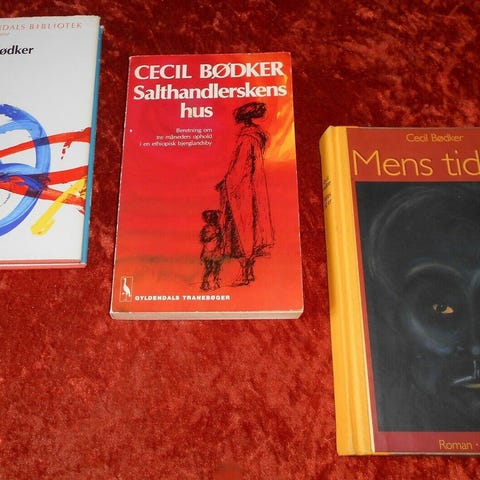 Annoncebillede