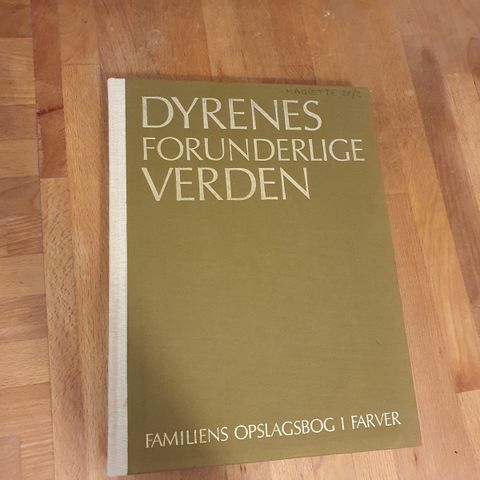 Annoncebillede