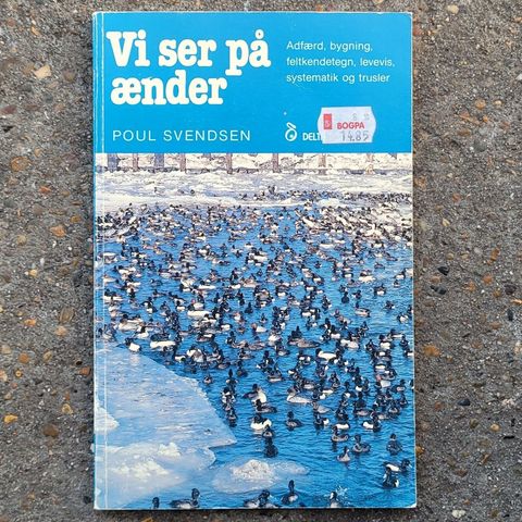 Annoncebillede