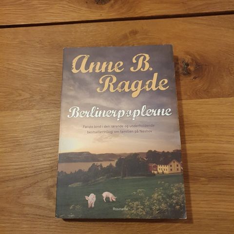 Annoncebillede