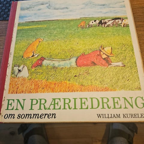 Annoncebillede