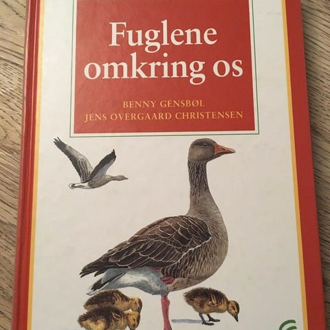 Annoncebillede
