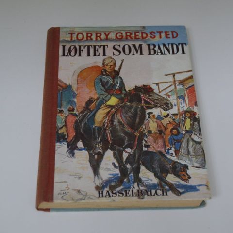 Annoncebillede