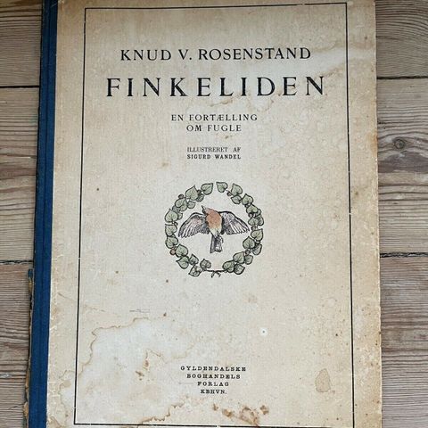 Annoncebillede