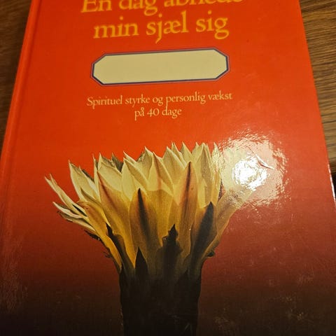 Annoncebillede