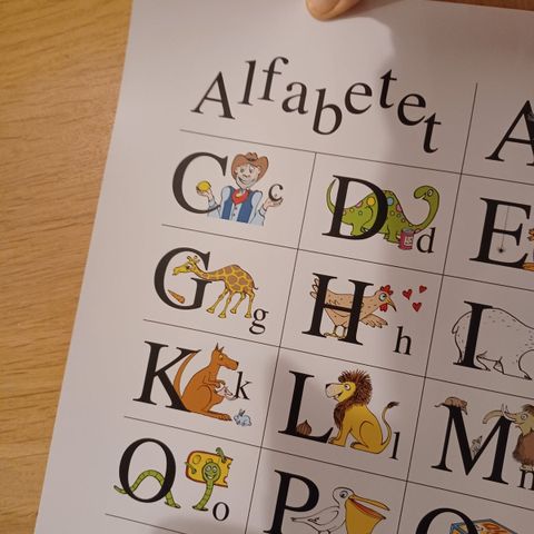 Annoncebillede