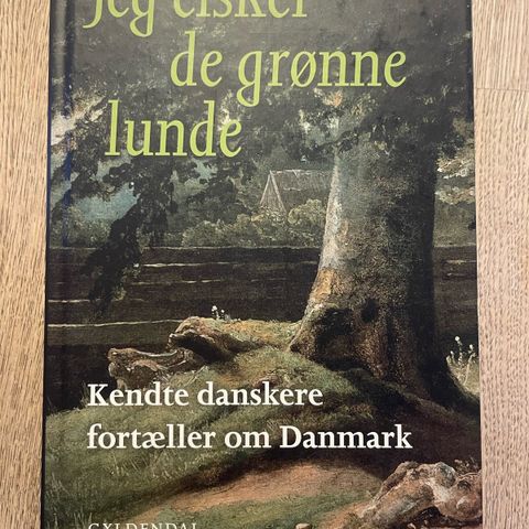 Annoncebillede