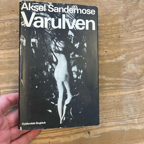 Annoncebillede
