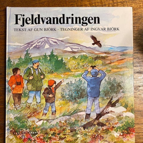 Annoncebillede