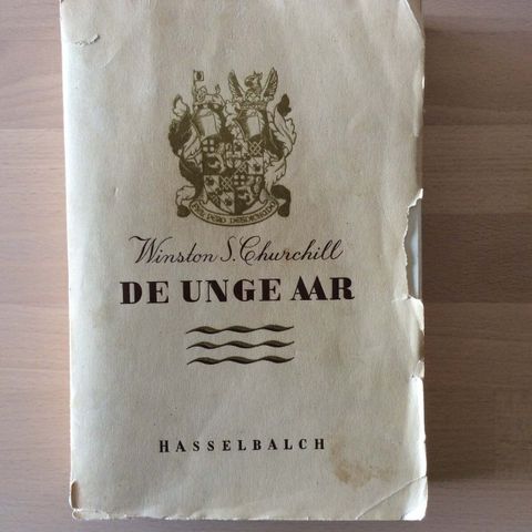 Annoncebillede