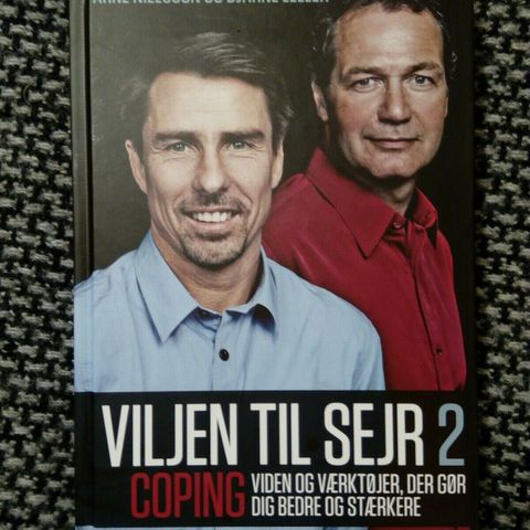 Annoncebillede
