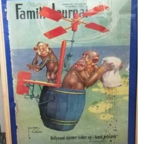 Annoncebillede
