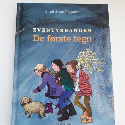 Annoncebillede