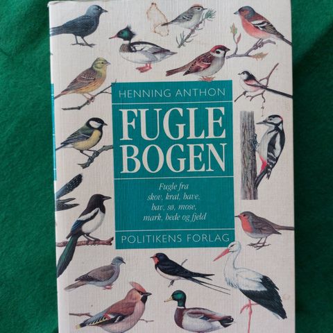 Annoncebillede