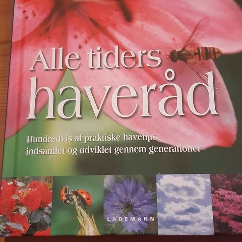 Annoncebillede