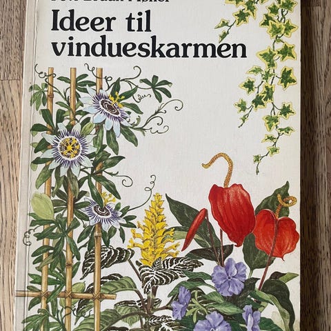 Annoncebillede
