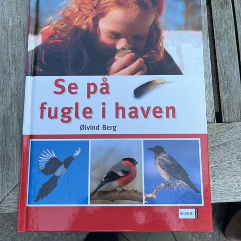 Annoncebillede