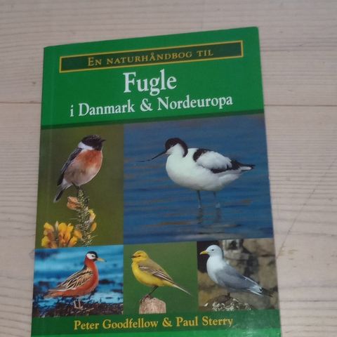 Annoncebillede