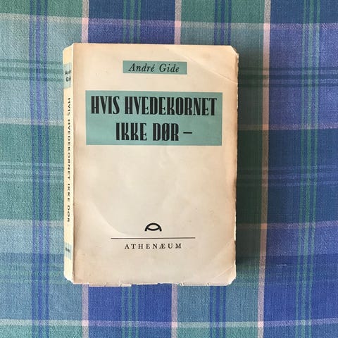 Annoncebillede