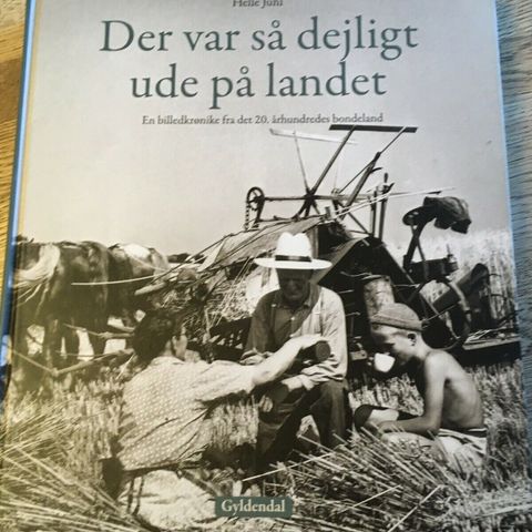 Annoncebillede