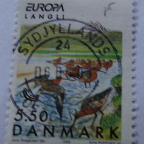 Annoncebillede