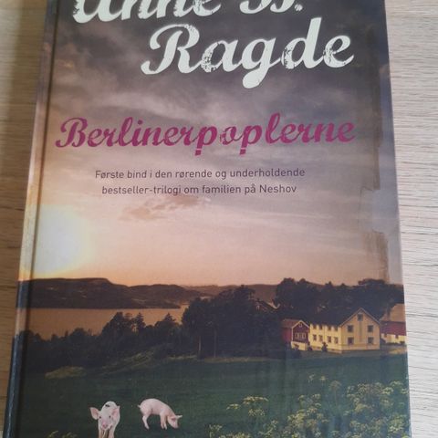 Annoncebillede