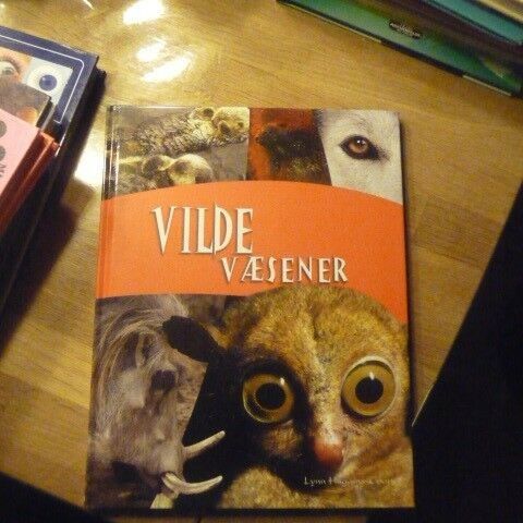 Annoncebillede