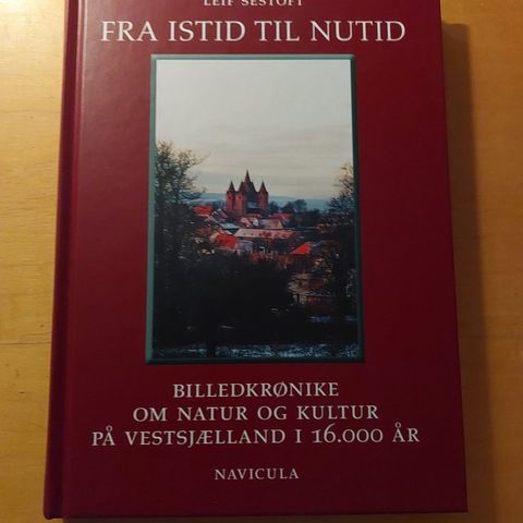 Annoncebillede