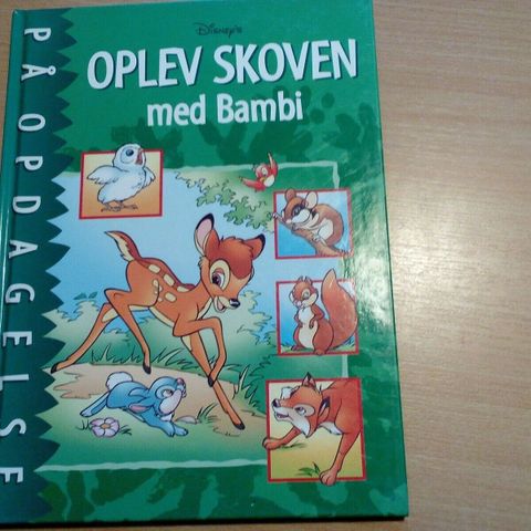 Annoncebillede