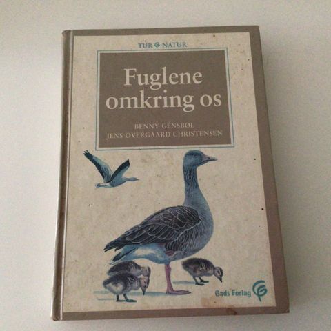 Annoncebillede
