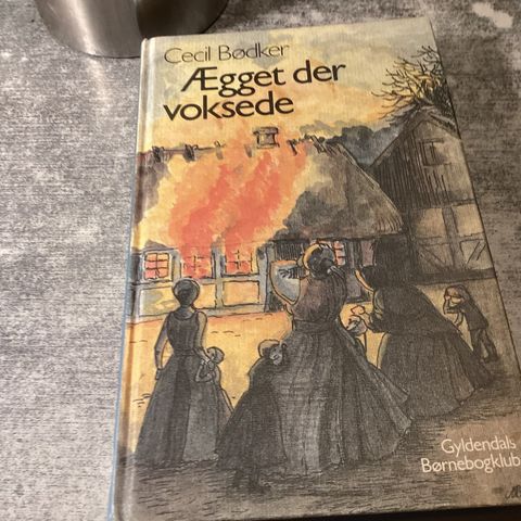 Annoncebillede