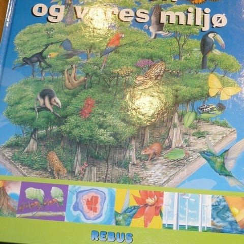 Annoncebillede
