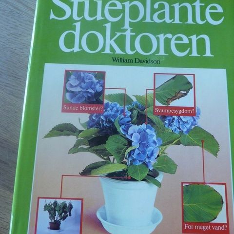 Annoncebillede