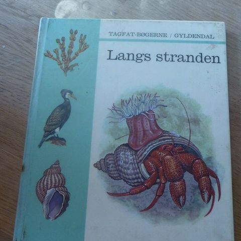 Annoncebillede