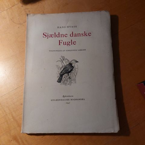 Annoncebillede
